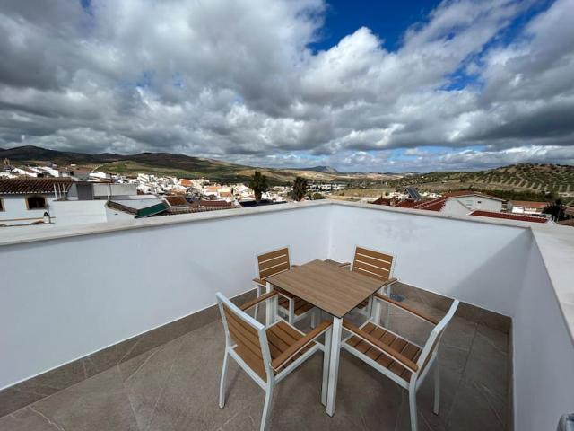 New 1 Bedroom Apartment with Roof Top Terrace