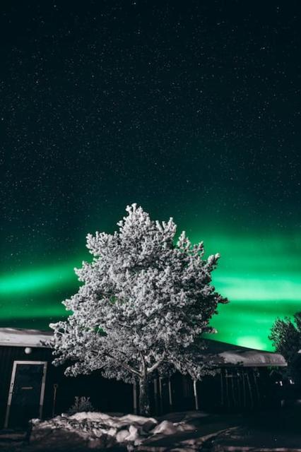 Forest Ranger's House, Authentic Lappish atmosphere