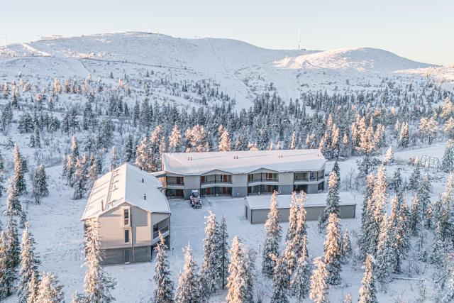 Aavalevi Peak Chalet, On the Mountain