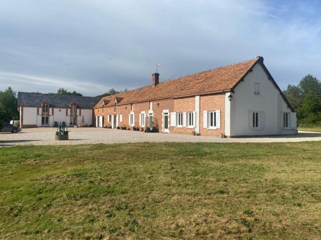 Gîte en Sologne au calme avec étang, proche d'Orléans et châteaux, idéal randonnées et pêche - FR-1-590-242