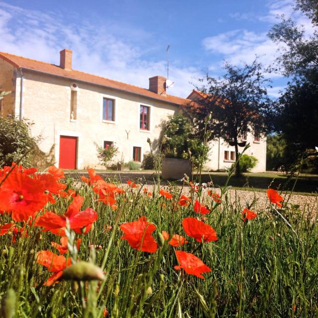 Au repos des elfes