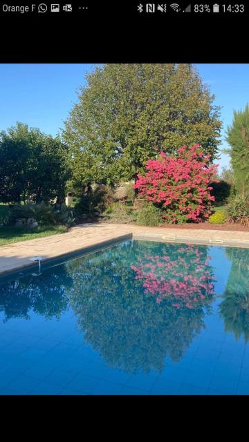 Gîte cocooning avec piscine