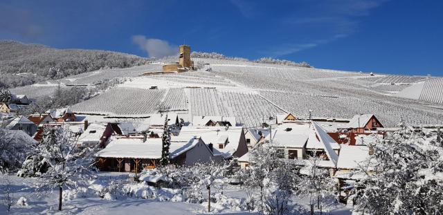 Sur la Route des Vins- très proche Colmar