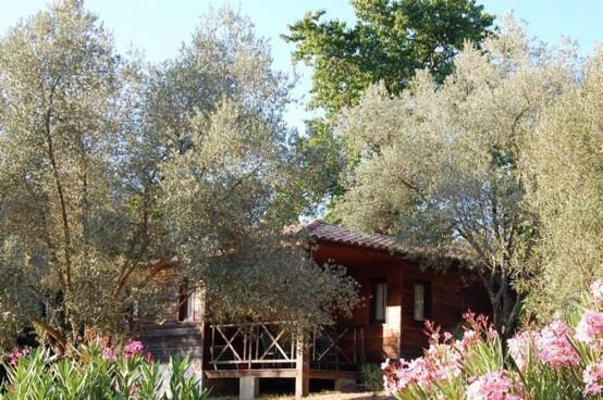 Gites Chalets de Grosseto-Prugna