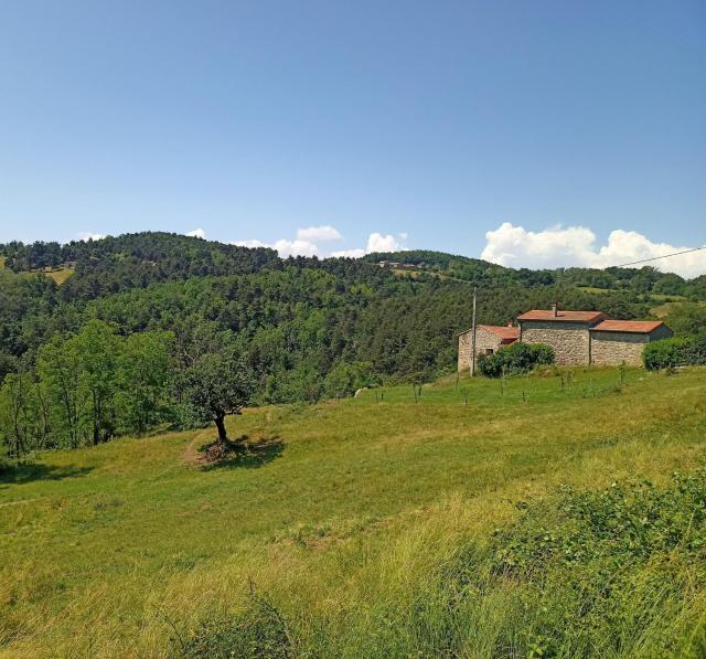 Ecrin de verdure en Ardèche verte