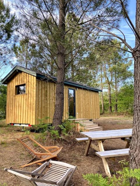 Camping la Kahute - Tiny House au coeur de la fôret