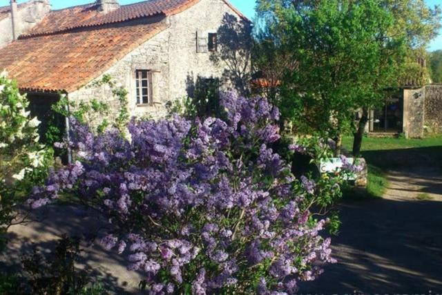 Maison Larzac Cevennes Grand Gite