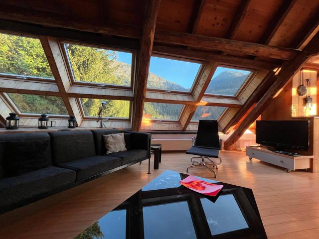 The Loft 3 minutes from Alpe dHuez Grand Domaine via Oz en Oisans