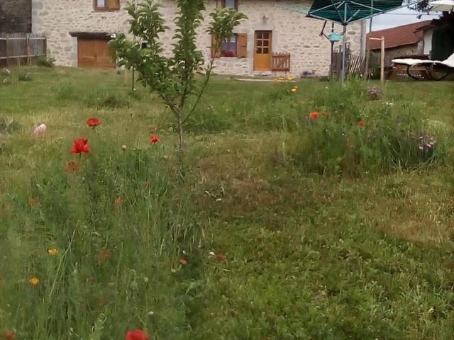 Gîte familial au cœur d'une ferme avec randonnées et activités près du lac de Saint-Etienne - FR-1-742-421