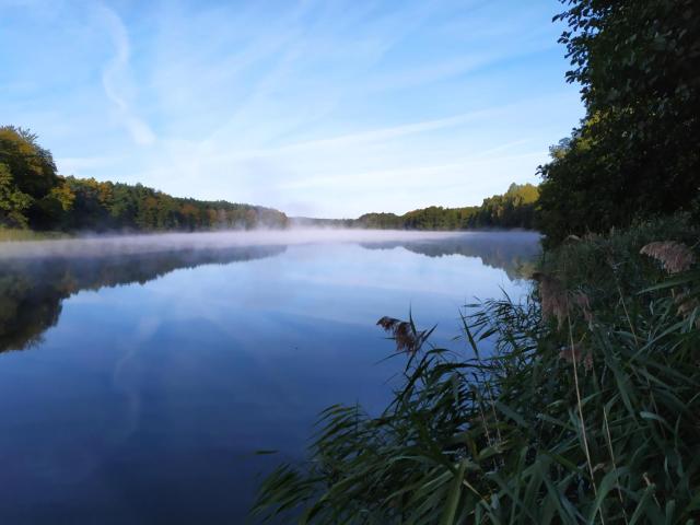 Domek letniskowy Nad Mrowinkiem