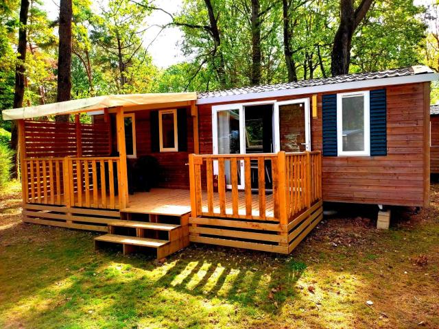 Mobil-home dans la forêt haute et tranquille