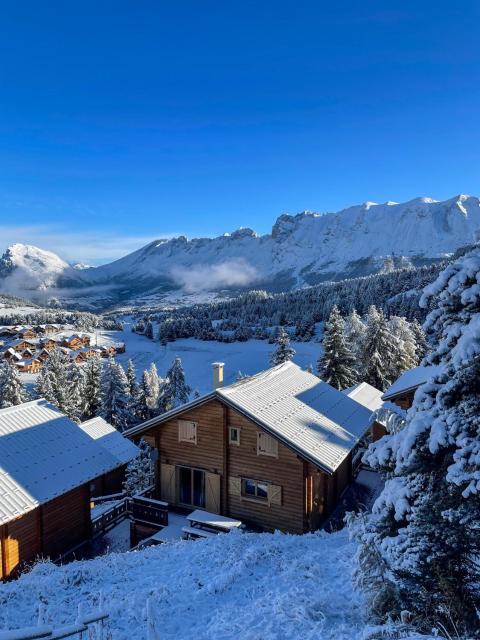 La joue du loup Bord des pistes - Chalet en bois de charme pour 10 personnes