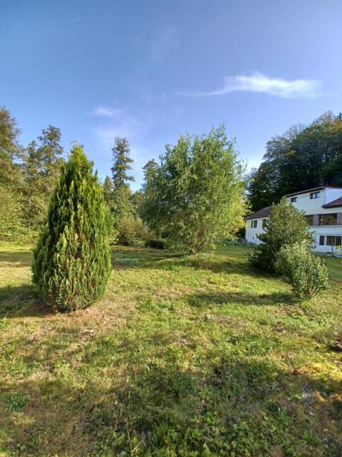 Logement dans un cadre apaisant à Moussey dans les Vosges