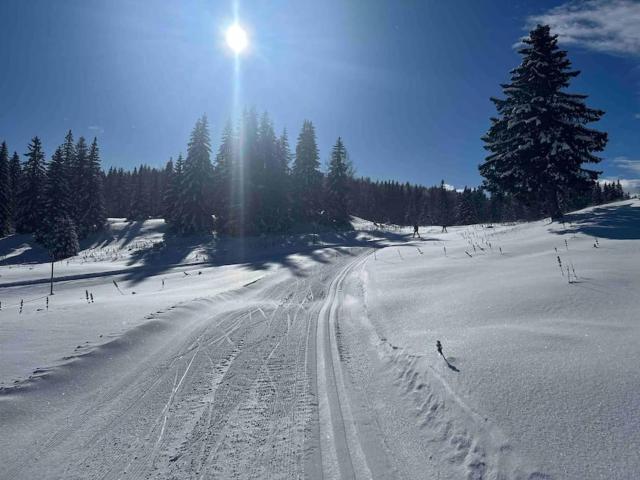 Appmt 4 pers aux pieds des pistes