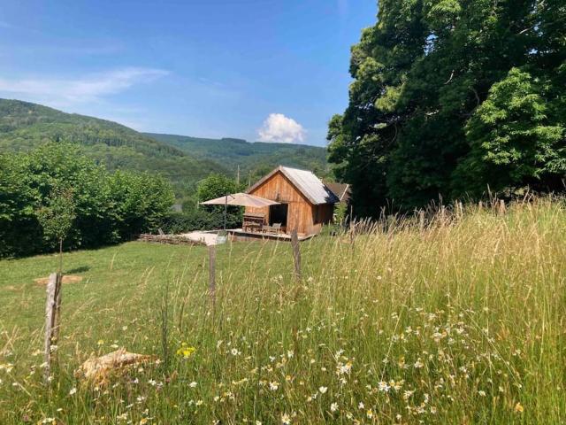 Chalet Au bois du Haut Folin