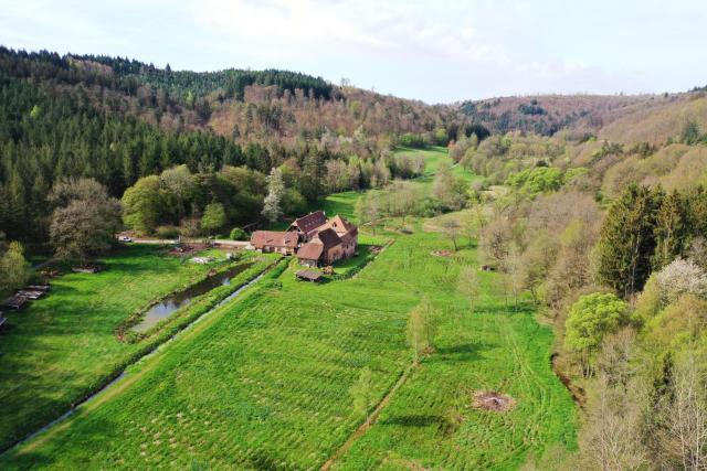 Maison d'hôtes de charme - Ancien moulin en pleine nature - La Paulusmühle