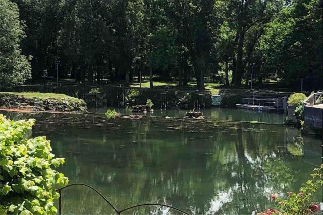 Jarnac, charmante maison au bord du fleuve