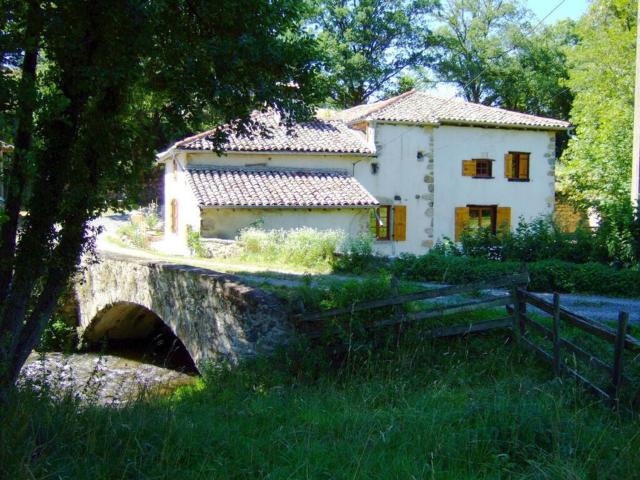 Nice apartment in Olsberg