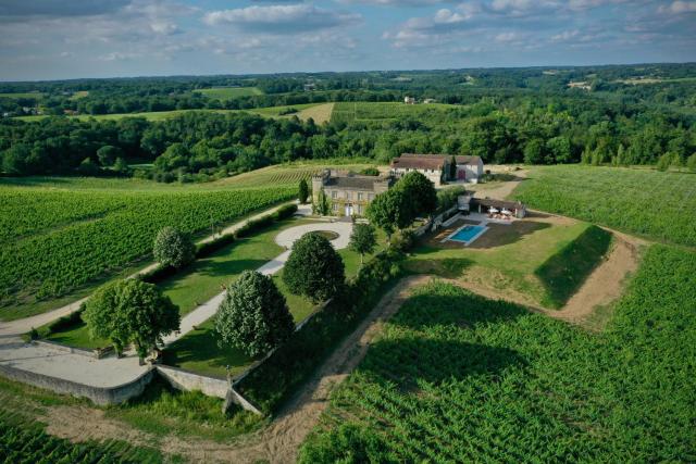 Château 14e siècle vue panoramique sur les vignes