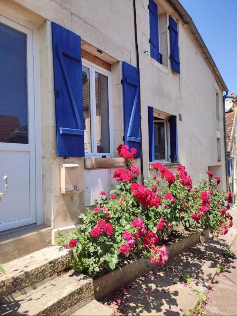 Bed & breakfast in the middle of Chablis vineyard