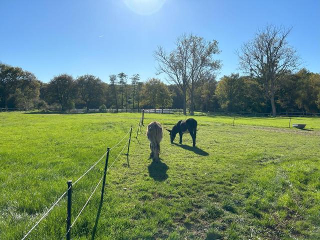 Domaine de l'Atrée - Gite La Petite Longère dans la Nature Préservée