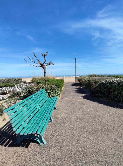 Les pieds dans l'eau aux Mers du Sud - Gruissan Les Ayguades