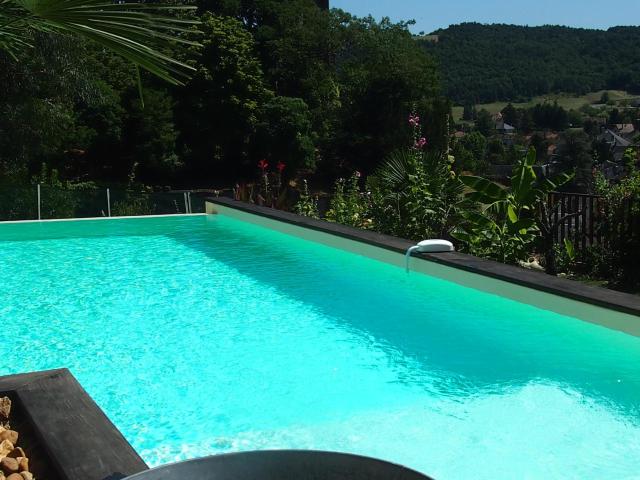 Gite Atelier Montignac // Piscine à débordement