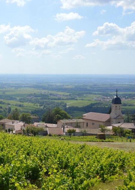 La maison du jeune vigneron