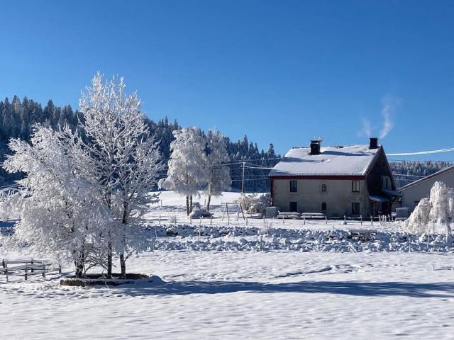 Gîte les Prés-bois