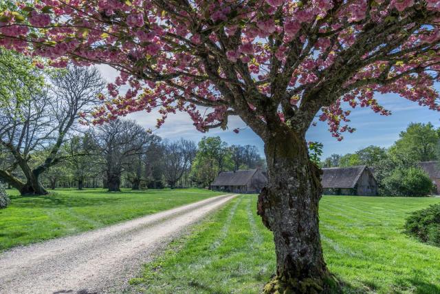 Domaine les Muids - Piscine et forêt privés proche de Paris