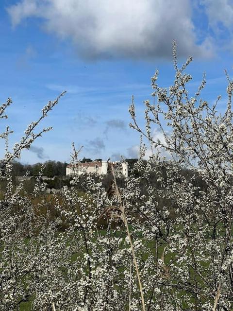 Maison Ray Sur Saône