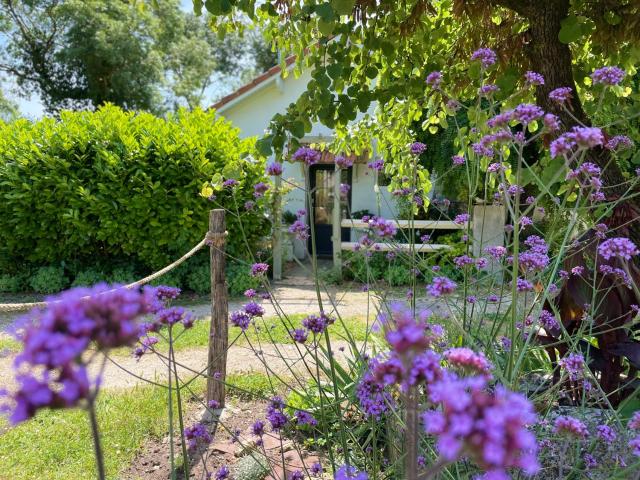 La Petite Maison