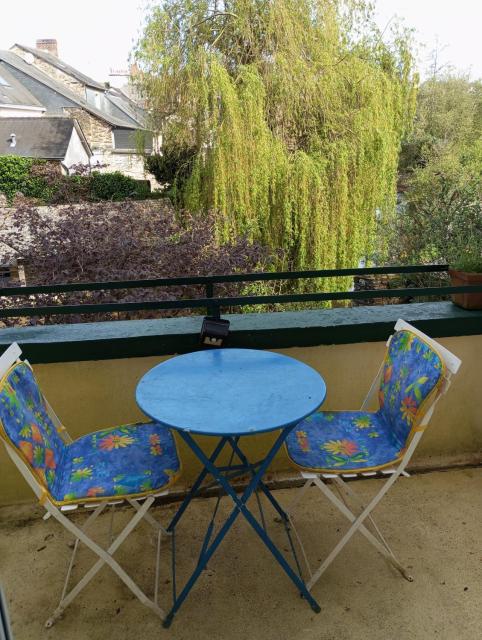 STUDIO RDC au pied du château et balcon sur la vilaine