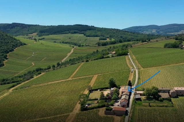 Le Tinailler Grand Standing au Cœur des Vignes