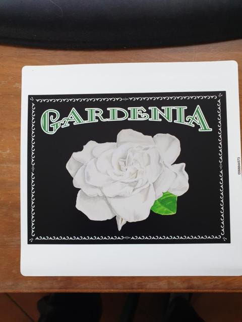 Gardenia