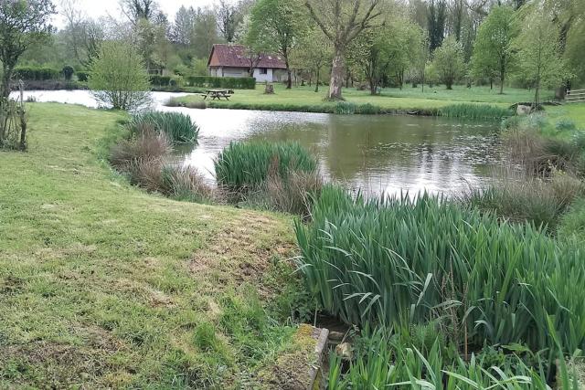 Gîte à la campagne avec étang de pêche