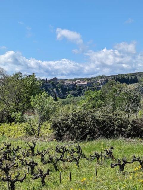 Petite Maison terrasse privée St Martin d'Ardèche