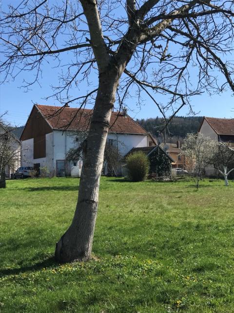 Domaine La Bonne Dame - Merle, au coeur des Vosges