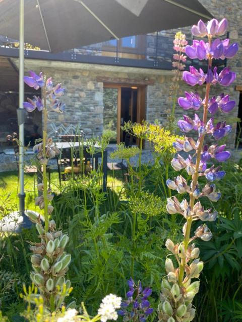 LE LODGE, Pyrénées 2000 - Jardin, très calme, espace rangement