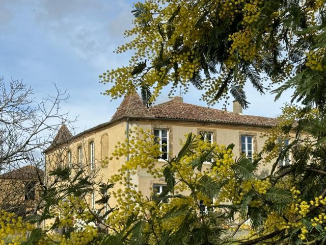 Chambre d'hôte dans le Château de Mauhic