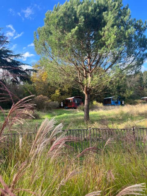 Les roulottes de Fonroques - logement insolite dans la nature