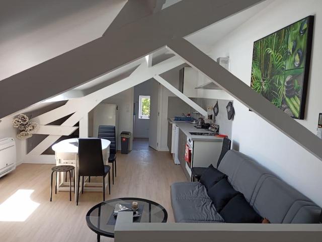 Appartement loft 55m2 climatisé