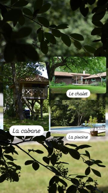 Les Grands Bois Gite et cabane