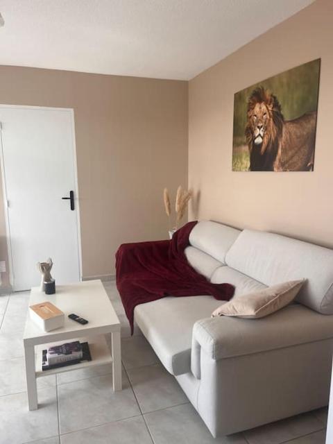 Appartement spacieux à Tarbes