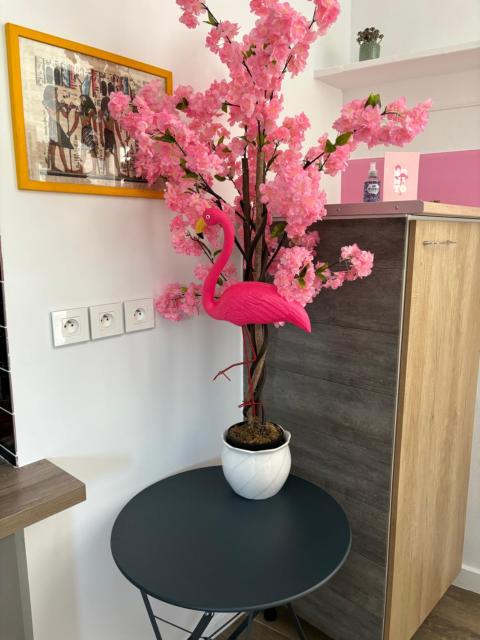 maison pink flamingo aeroport tillé 2 a 4 personnes