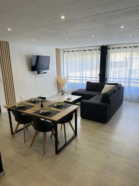 Grand appartement Roanne centre