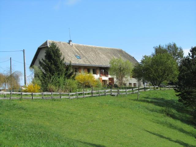 La chambre du Tilleul de la Tarte Qui Flette