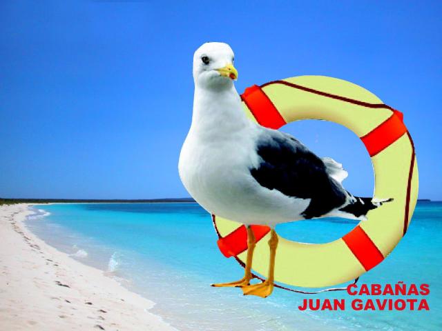 Cabañas Juan Gaviota