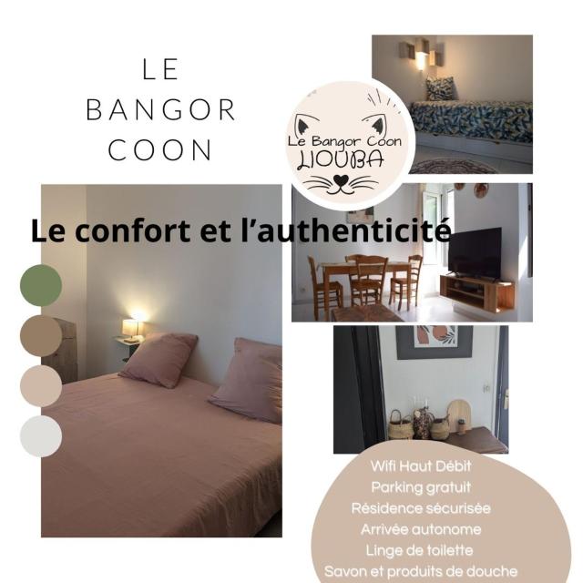 Le Bangorcoo'n F3 Liouba