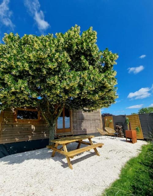 Tiny House Petite Balnéo Cheminée exterieure